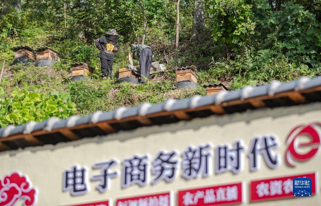 宝马棋牌官网
